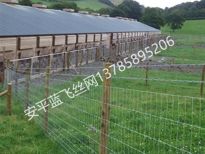 牧場護(hù)欄網(wǎng)-1.jpg